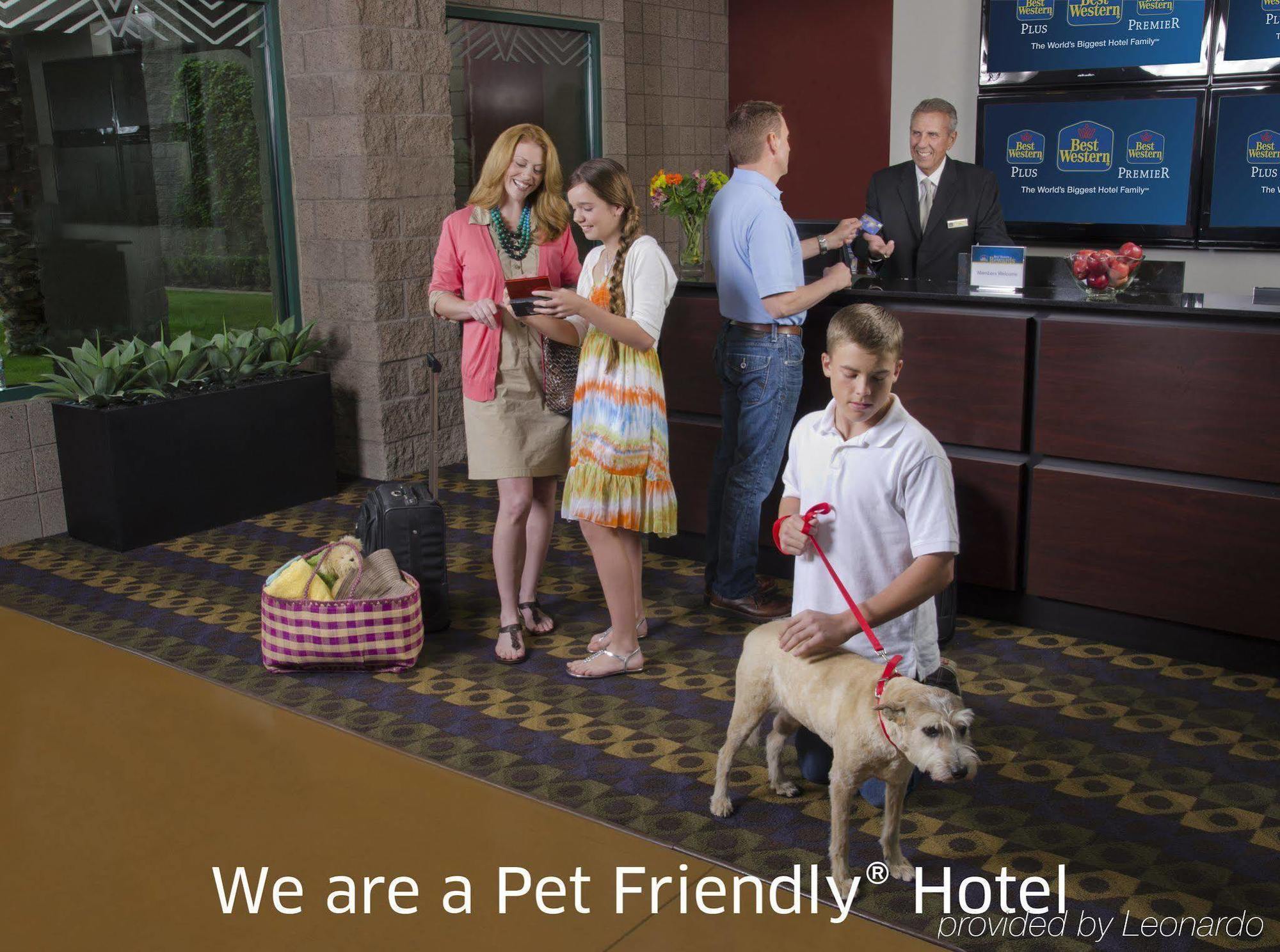 Best Western Socorro Hotel & Suites Eksteriør billede